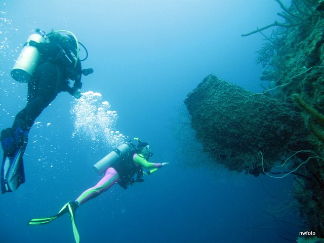 Giant Barrel Sponge & diver