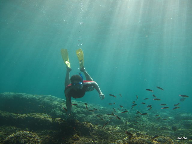 Snorkeling Huatulco
