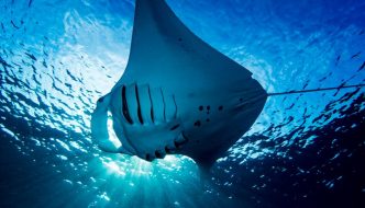 Palau Jan 2018