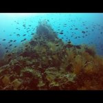Diving Colombia’s Pacific Coast