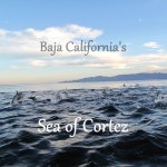 Baja’s Sea of Cortez – Mexico