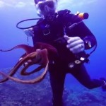 Finding Octopus in Maui