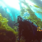 Anacapa Island Diving
