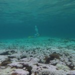 Warm Huatulco Mexico diving